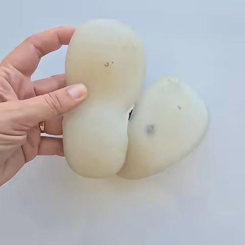 Zapamedia amotas 12,5 cm - vista alternativa