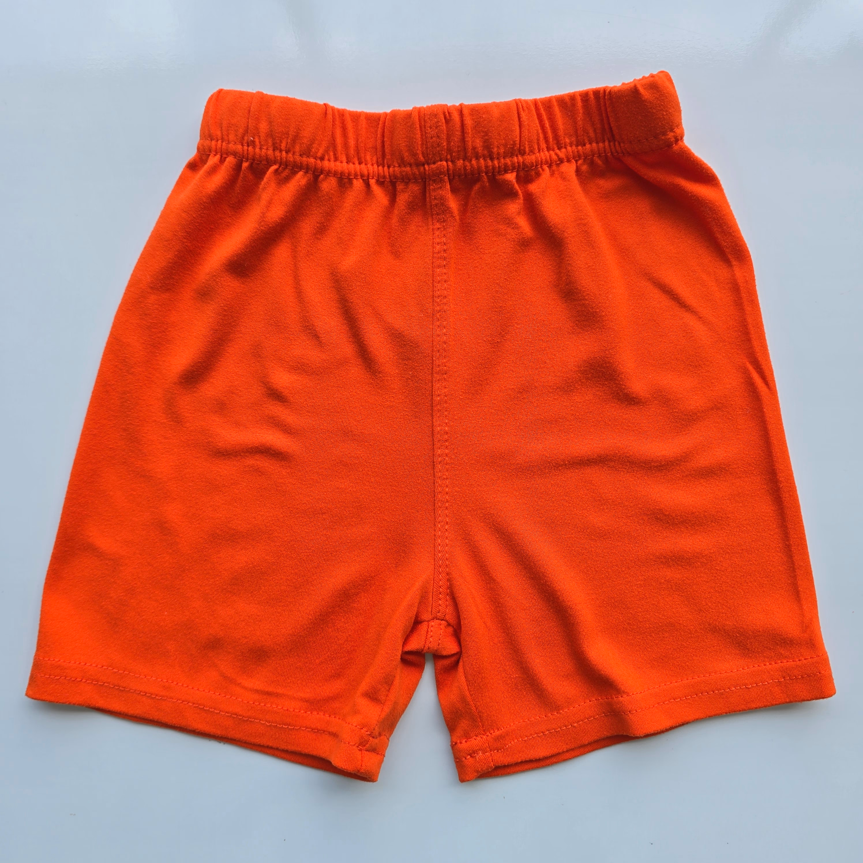 Short fox  - 1