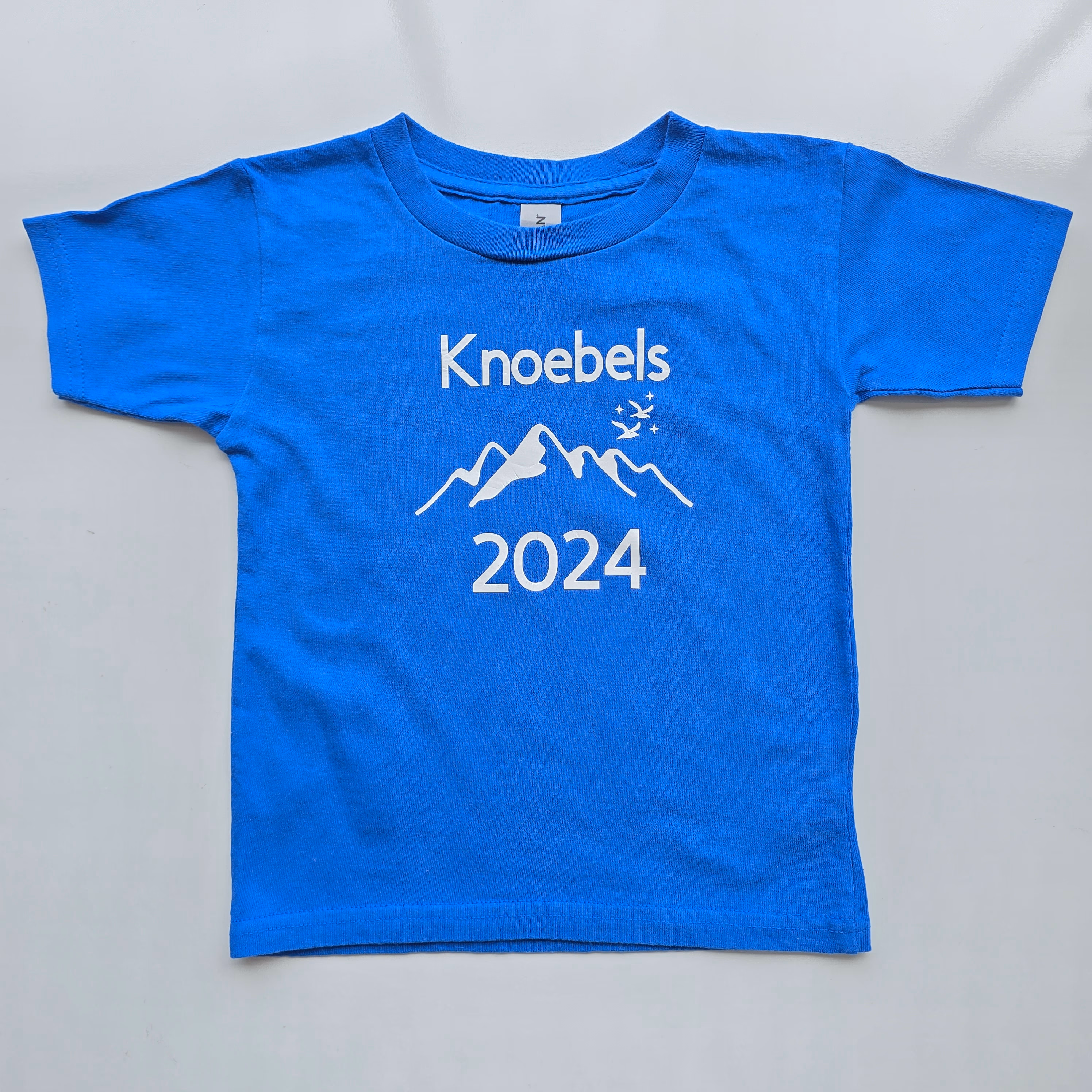 Remera Gildan  - 1